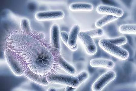 640 (3).jpg 640 (3).jpg